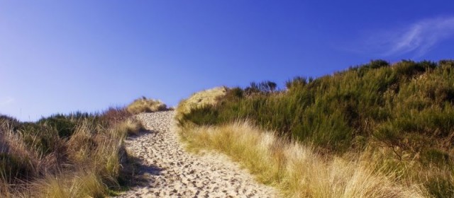 Man skal ikke undervurdere en strandtur
