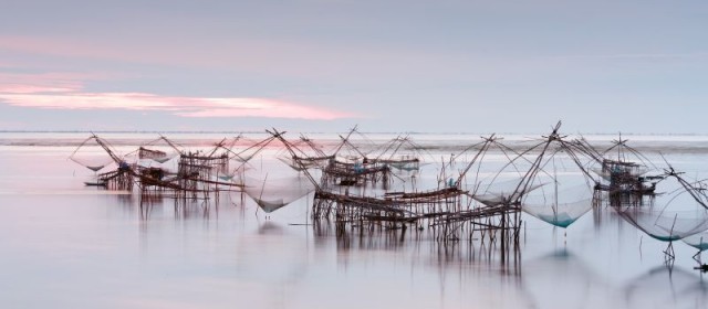 Frisk fisk fanget direkte fra havet